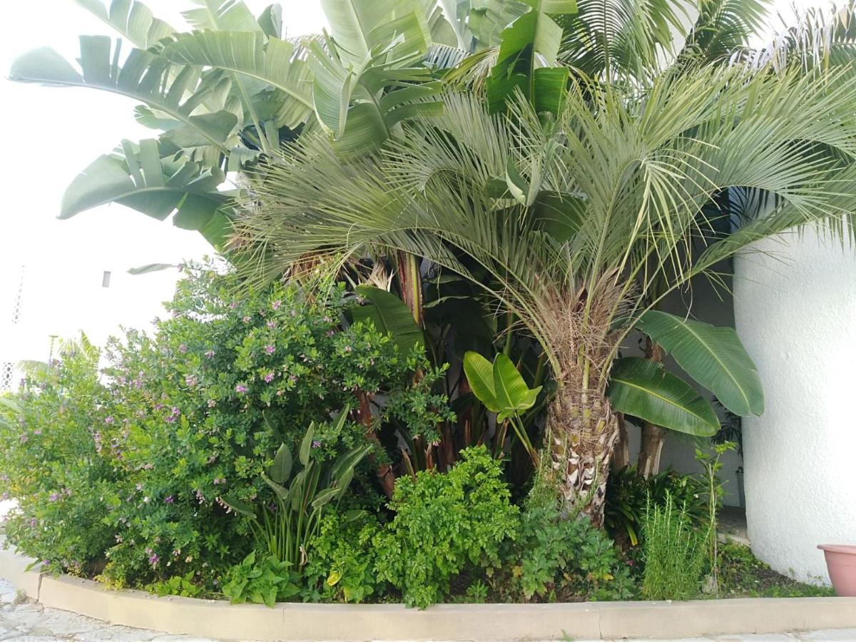 Garden View Vilamoura Apartment Exteriör bild